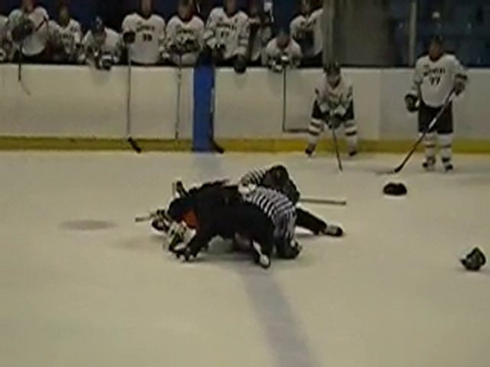 Lemay vs Roy-Duval