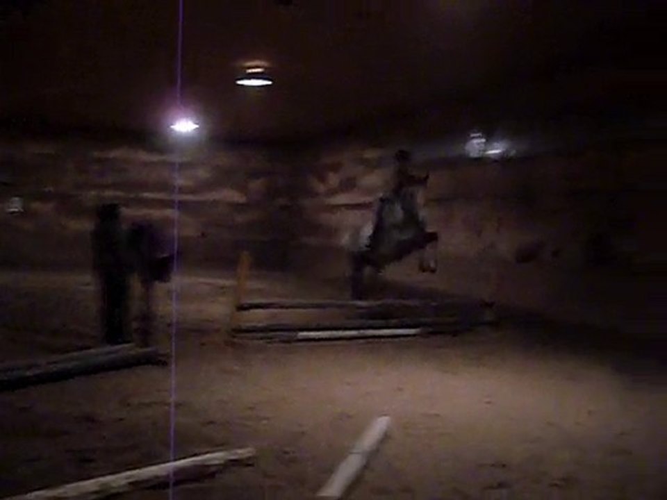 Kathleen + Paddington, aka Bear, oct. 22, 2010