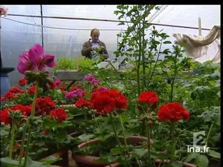 20 heures le journal : [émission du 3 juin 2006]