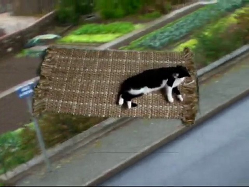 freeedom vol en vendee