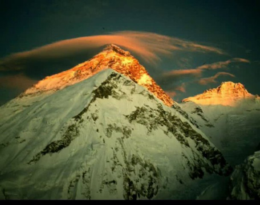 cinquentenaire Barbet