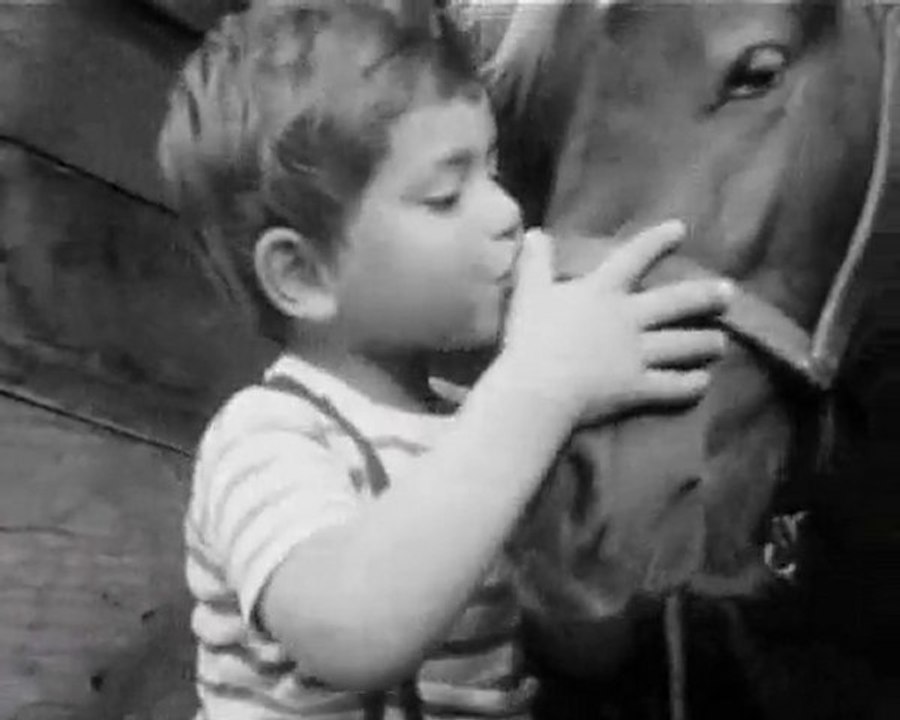 le cheval
