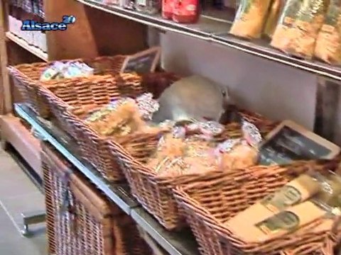 Mangez bien, mangez sain, mangez alsacien!