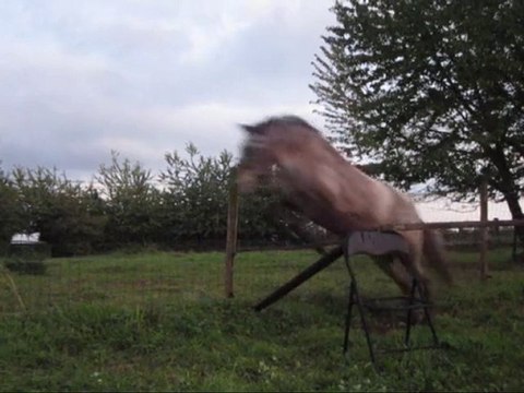Séance saut du 09 septembre 2010