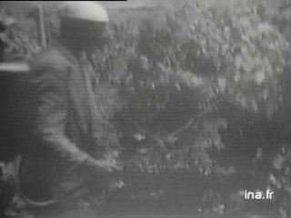 24 Heures sur la Une : émission du 19 juillet 1973