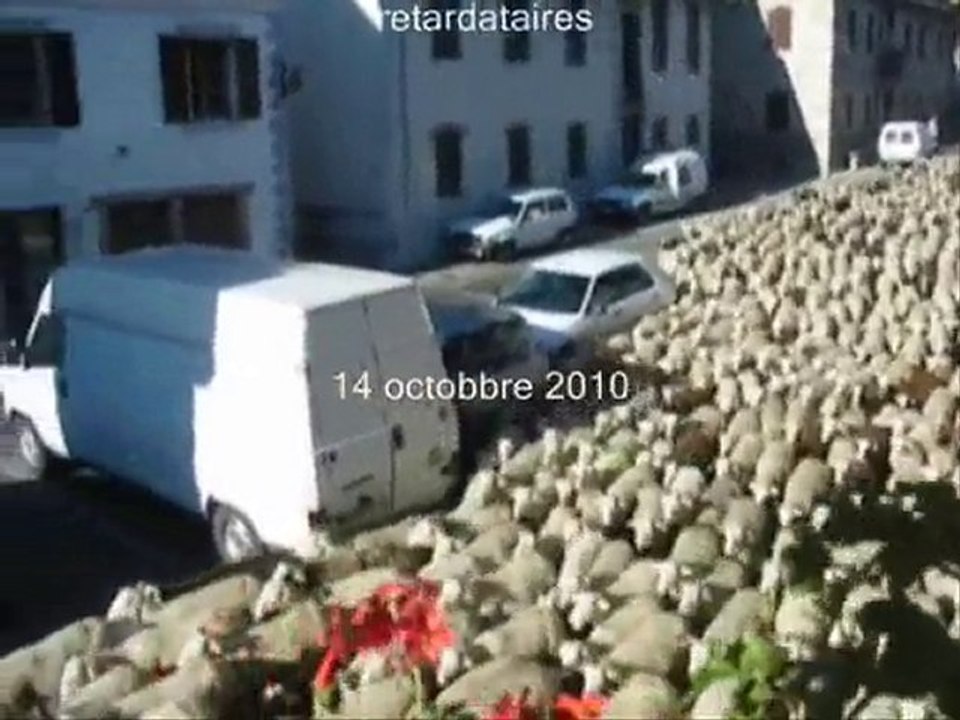 transhumance vallée Aure octobre 2010