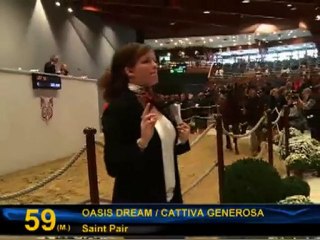 Le Top 5 des Ventes d'octobre, organisée par Arqana.