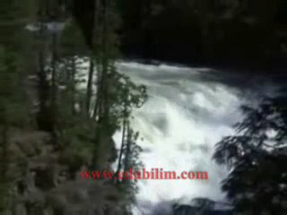 Yagmur - Seyfullah Kartal