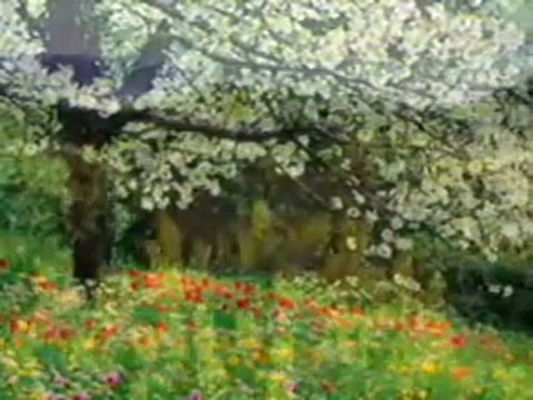 Engin Noyan Esmaul Husna 1