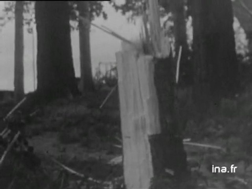 Information Première : émission du 19 août 1972