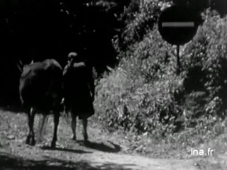 Information Première : émission du 23 août 1972