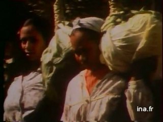 JA2 20h : émission du 22 février 1977