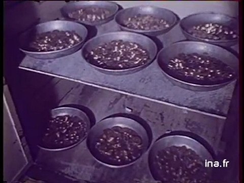 IT1 20H : émission du 7 septembre 1979