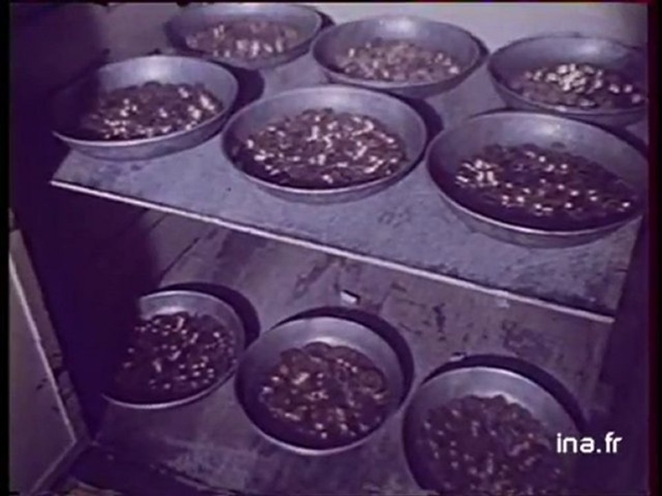 IT1 20H : émission du 7 septembre 1979