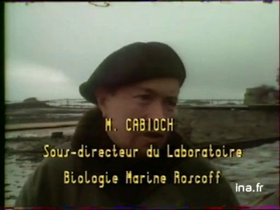 IT1 13H : émission du 24 mars 1978