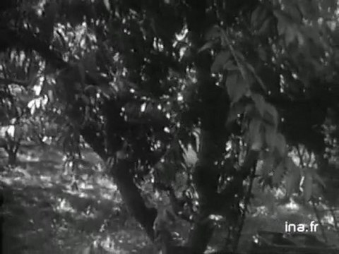 Information Première : émission du 1 aout 1972