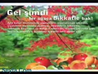 Dünya Fani (Kürtçe)