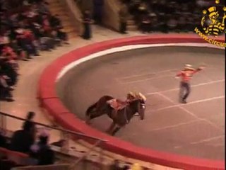 Art Company present ID 486