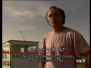 JA2 20H : EMISSION DU 29 OCTOBRE 1989