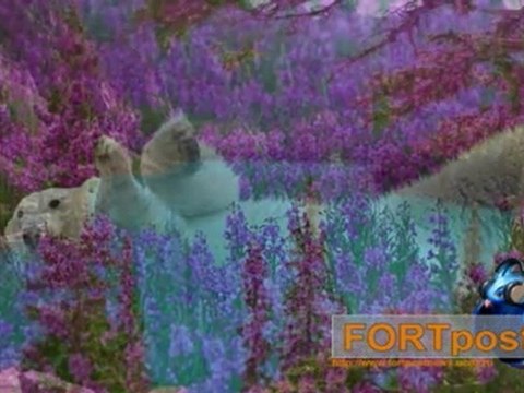 как удивителен этот мир