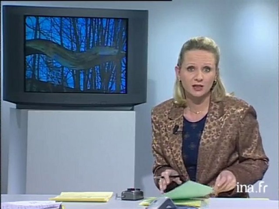 Edition spéciale tempête, un an après