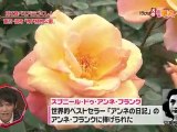 PON!週末華丸スポット101022