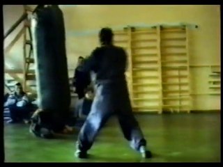 Во Вьетнам школа"Цветов" стиль "Золотой Лотос"