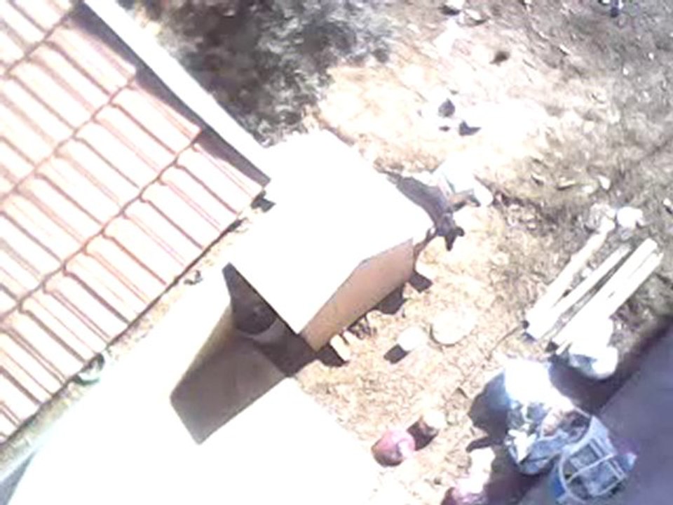 MOV0016A