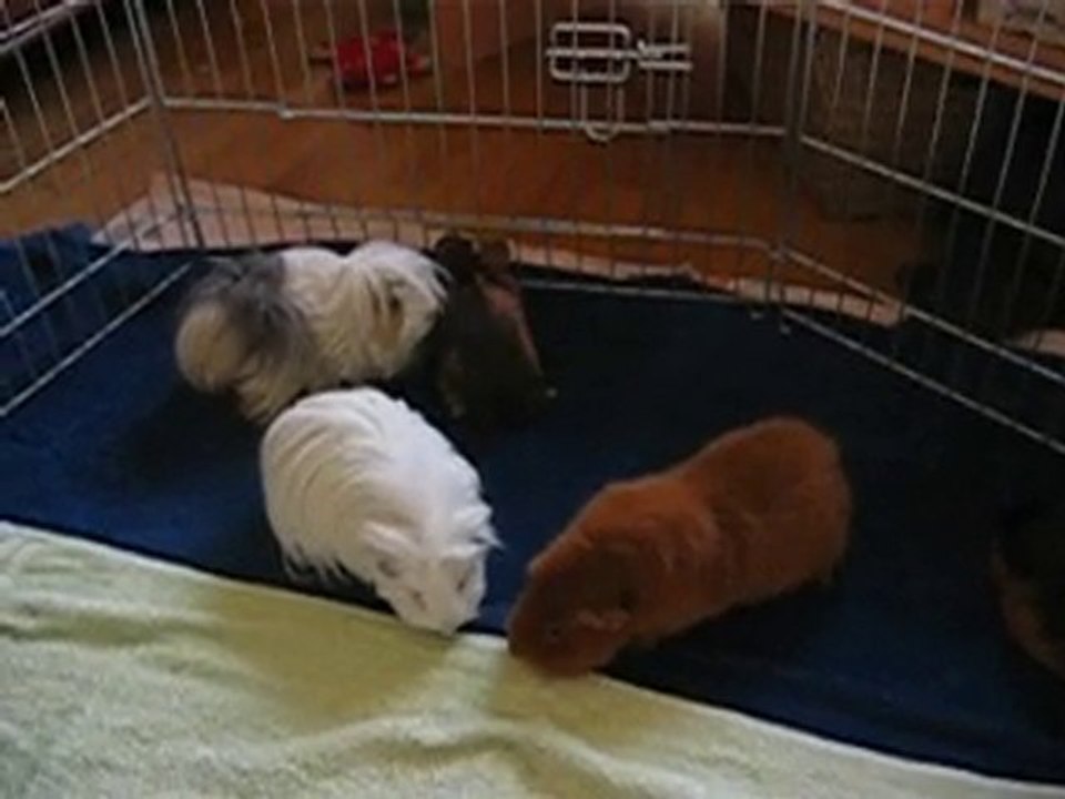 Eliott rencontre les filles