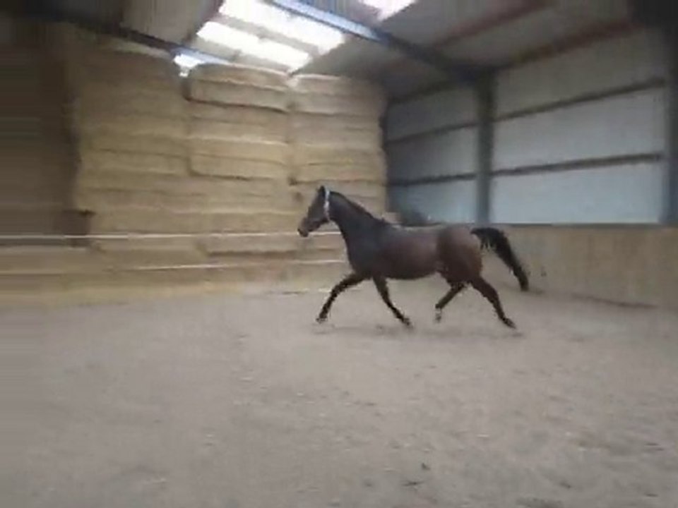 winnetou  octobre 2010 022