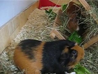 premier repas en famille pour Eliott