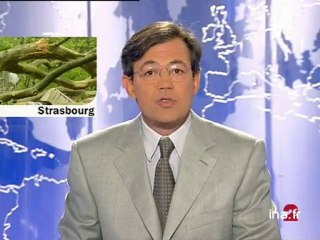 20 heures le journal : [émission du 11 Juillet 2001]