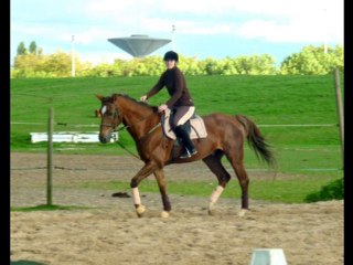 Mise en selle avec Indians