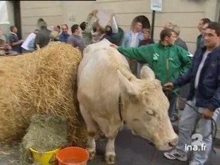 20 heures le journal : [émission du 6 septembre 2001]