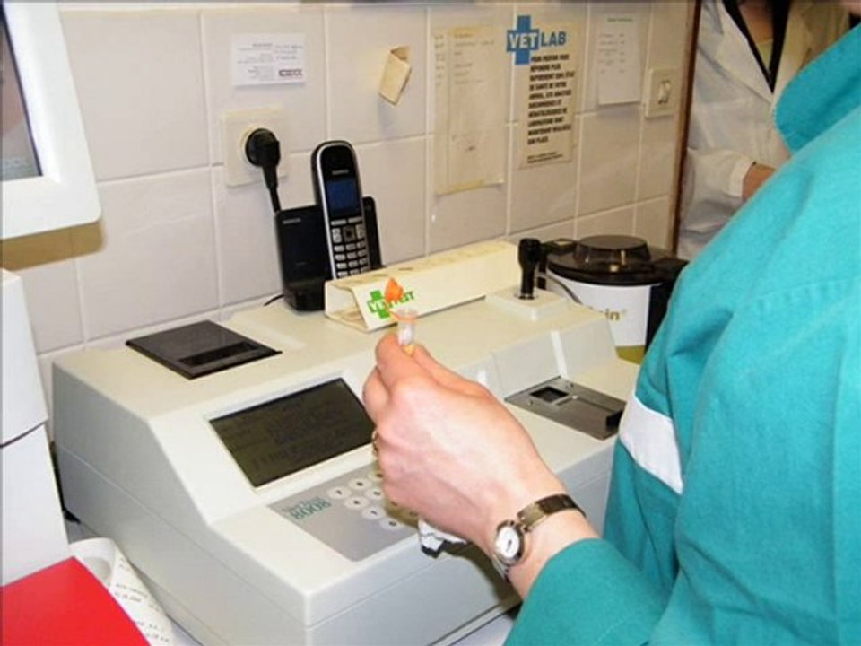 montage clinique version 1