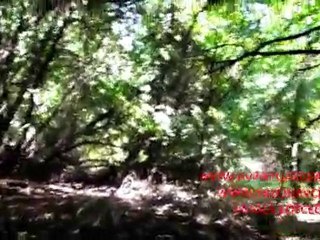 MUĞLA KÖYCEĞİZ  - Ekolojik Yaşam Çiftliği