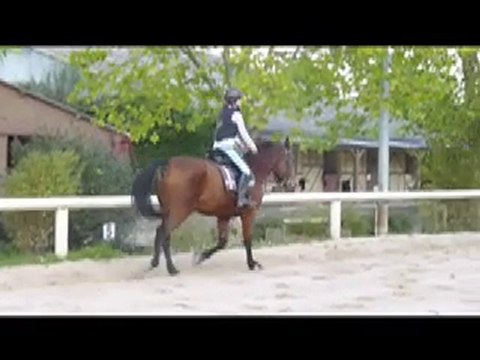 Gwen Et Perlani : 241010