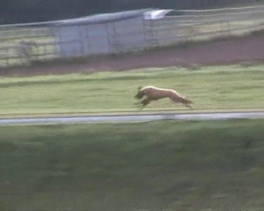 Bani 1 Vorläufe 241010 Mannevillette