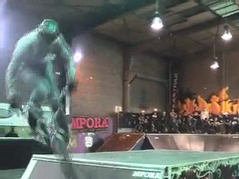 Montbéliard : le BMX fait son show au Frigo