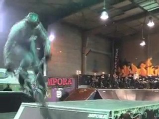 Montbéliard : le BMX fait son show au Frigo