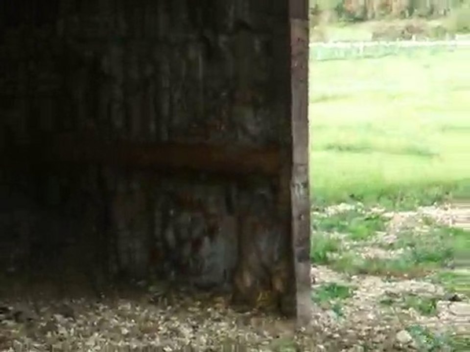 Galop à gauche sur cailloux...