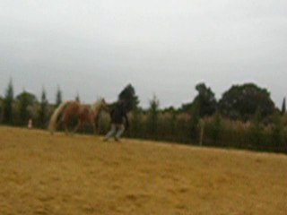 Longe Tiz  24/10/2010