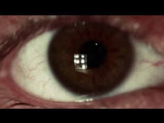 Voir Entendre et ne rien Dire bande annonce