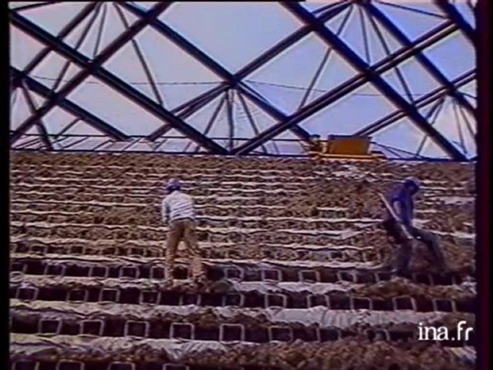 Rapport cour des comptes contre Bercy