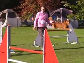 Maud et Bullit Jumping