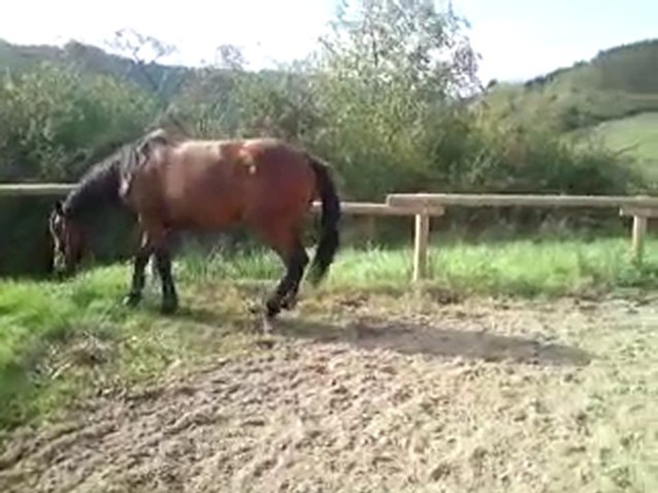 Séance du 23 octobre saut en liberté 5