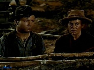 Free TV Series: Bonanza - The Spitfire