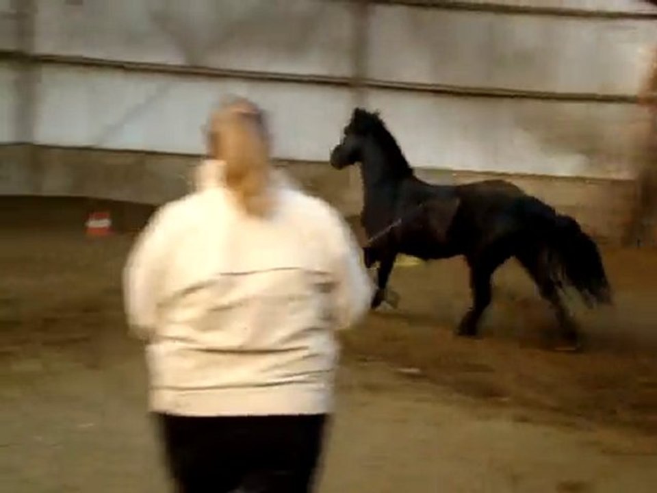 Nabuckol qui est laché