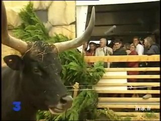 SURENCHERE CHIRAC / JOSPIN