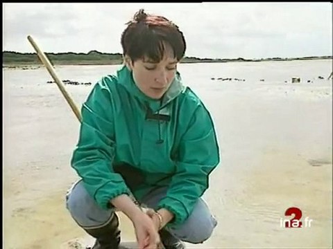 PLATEAU JEAN FRANCOIS DENIAU